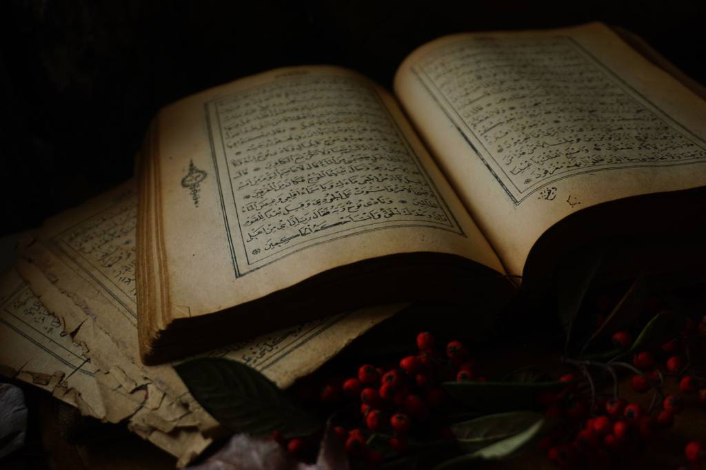 A visually captivating still life featuring a vintage open book with rowanberries, exuding a retro charm.
